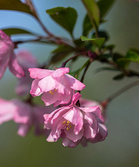 西溪花朝节开幕实况£¬一年一度花朝节开幕活动在这里拉开帷幕