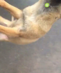 �ò����Լ���