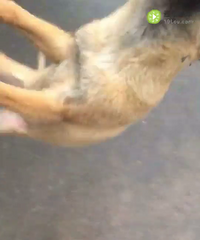 �ò����Լ���