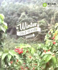 ��С���һ��ȥժӣ�ҵ��𣿻���һ��������