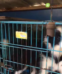 3���±���ϲ�����˽�