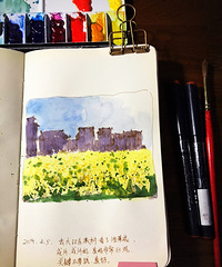 去看看农村的油菜花
