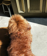 8�����ҵ�̩�ϼ�ë�����Ҫ����RMB