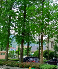 ��ô����������������ϧ�ˡ�