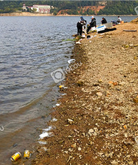 �����̵��Ĵ������ǣ�������ĺ���