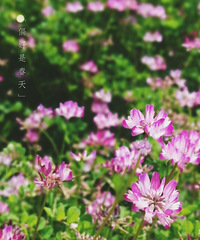 想要好好享受春暖花开£¬没有?#35748;?#19979;小地方更让人心空了£¡