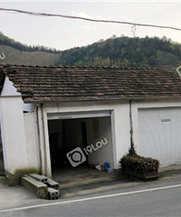 �����ٰ�ũ��Υ������