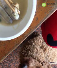 �������»���̩����ʧ������13456