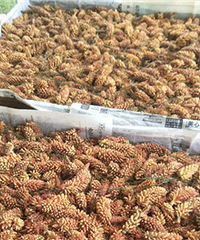 �ж����ٰ���֪������Ǹ����õģ�