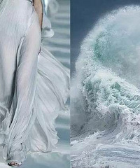 自然的美丽和设计师的灵感