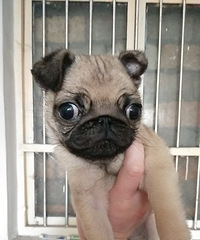 �������͸���Ȯ