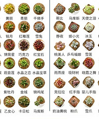 ����Ͷ��⣬ֻ��1��1��1��������