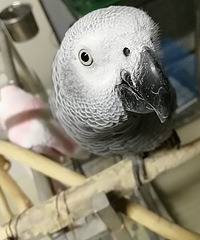 С����������