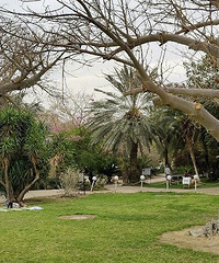 【九張圖】打卡十美景