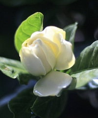 �����𴲷������ӻ�����