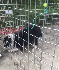 �����������£�