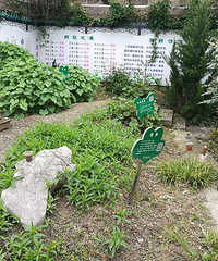 百草园