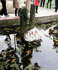 百草园