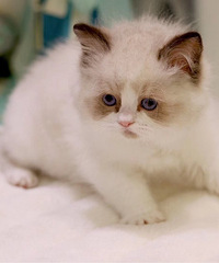 ��ż��ż����Ȥ��wx15325554575