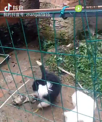 ������ֻ˽�ң����ϼ۸���˵���㣬ֻҪ���̫��