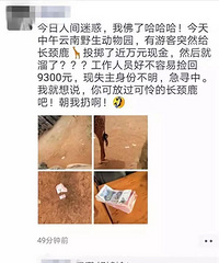 有人向动物园长颈鹿“投喂”一沓百元大钞!