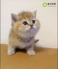 �𽥲�𽥲�˫Ѫͳ����Ȥwx15325554575