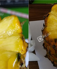 [����]������Ŀ��԰��ų�Ŷ��