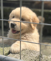 ��ֻСů��С��ë��������