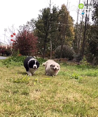 �������������Ȯ�֡��߾�����Ȯ