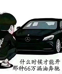 谁借我66万买漏油的车