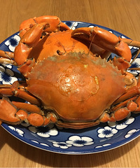 开年第一波青蟹!帮大伙试吃了!肥!