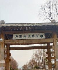 大爱兴凯湖