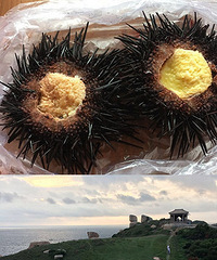 中国10大最美小岛,南麂岛认证
