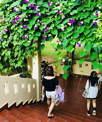 ������ס�ĺ���������