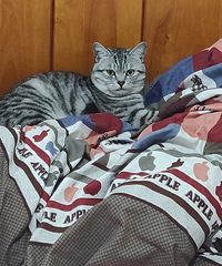 ���������