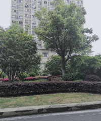 �������٣�΢Ц