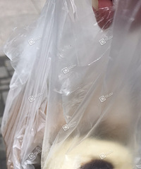两块发糕一个豆沙包26块钱!现在物价贵成这样了?