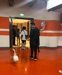 因为一部电视剧,粉丝居然送了一头大白鹅给保剑锋当礼物
