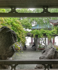 阴雨天随拍