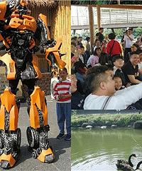 10点入园,下午4点才走出!回本了