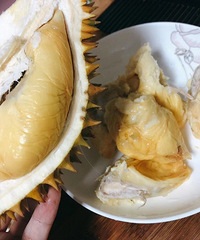 吃榴莲