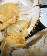 吃榴莲