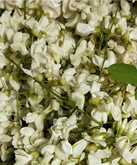 ���ͯ����û�л�������Ϣ��