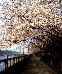 ��Ϫ�Ե�ӣ���ܱ�����