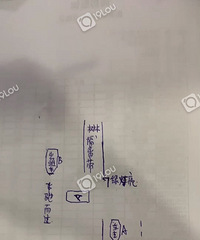 新手女司机求解惑£¡明明左转绿灯了£¬为何直行也是绿灯
