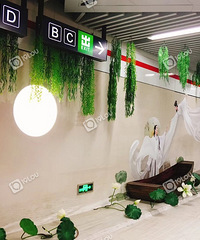 杭州定安路地铁里有一长排新版白娘子的主题墙£¬还挺美的