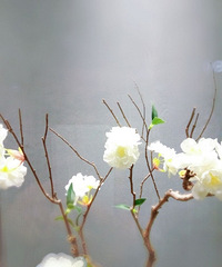 �����������ʹ�����������ֻ���ң�