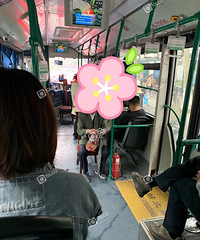 自带?#39318;?#22352;公交的老人£¬不觉得很重吗£¿