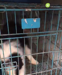 ������������ĸ���У���������̨��