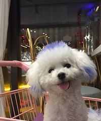 ���ܣ�ĸ�ģ���û��һ�꣬û̫��ʱ���չˣ�